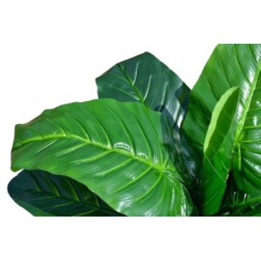 planta-hoja-ave-del-paraiso-105cm-altura