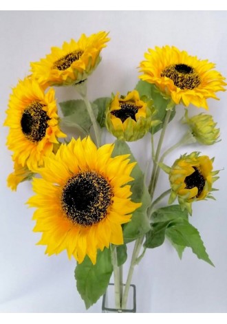 ramo-de-girasoles-60cm-de-largo-6-girasoles-y-3-boton-de-girasol