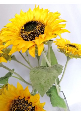 ramo-de-girasoles-60cm-de-largo-6-girasoles-y-3-boton-de-girasol