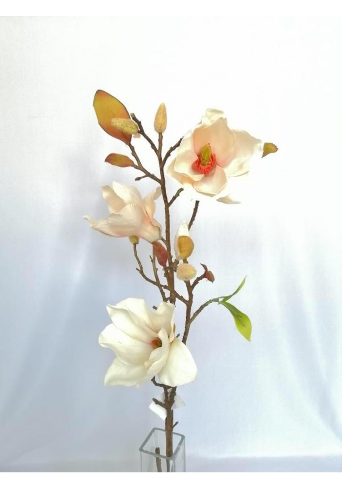 vara-de-magnolia-80cm-largo-crema-coffee-y-roja