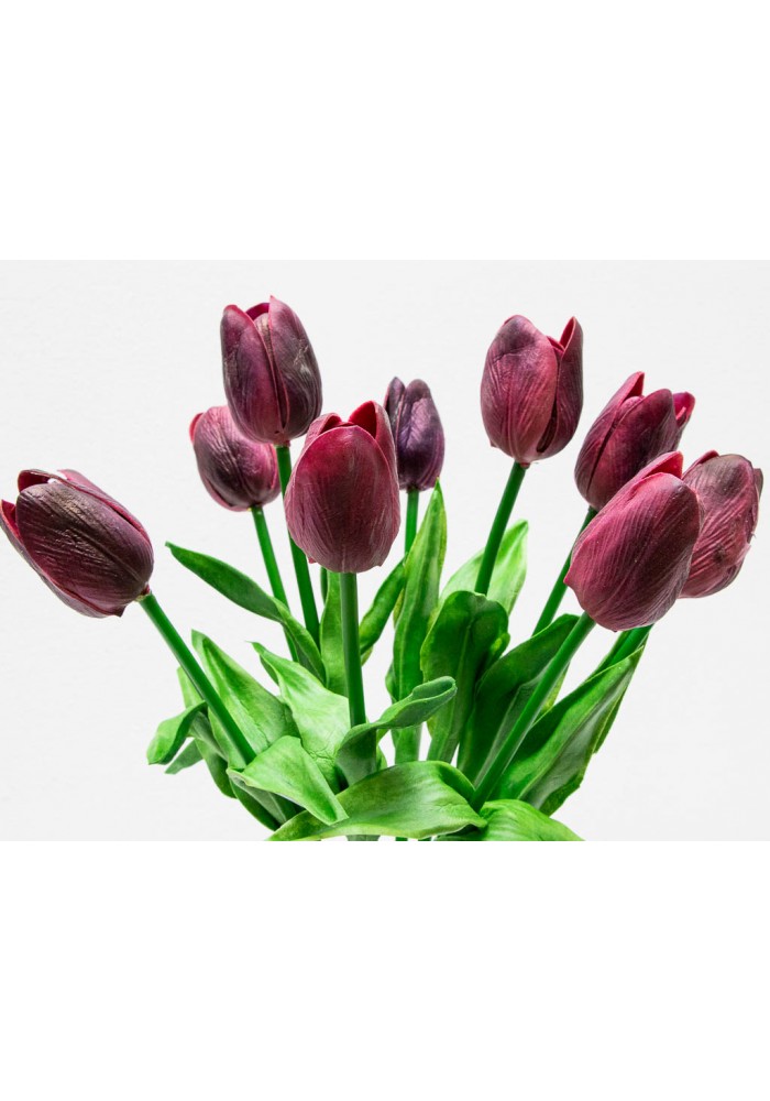 ramo-de-tulipanes-con-10-flores-XFY-137