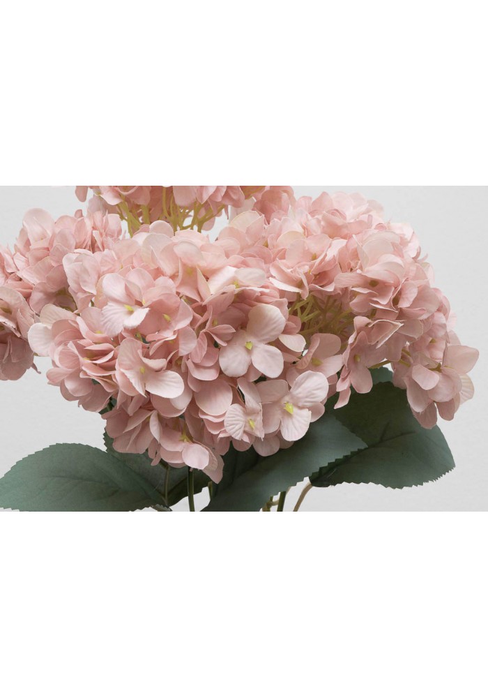 ramo-de-hortensias-esla-con-5-flores-XFY-146